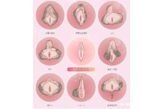 1716780862c0c865.png 1716780862c0c865.png